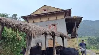 Real Nepali Village Life | Hardworking People in the Countryside || Travillage nepal