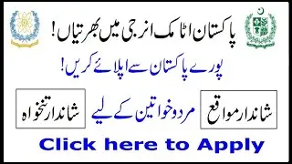 How to Apply for Pakistan Atomic Energy Jobs 2020