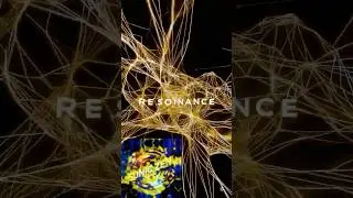 ⚡ Morphic Nervous System Reset (LIVE Short) | SubMorph Core V5.1