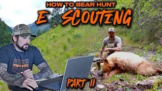 E-Scouting for Black Bears &ndash; Find the Best Hunting Spots!