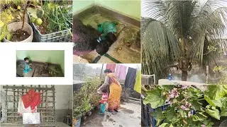 Baper bari alam........jagroto durga mar mandir gelam ....chade Taber  modhe  ful ar faler bagan....