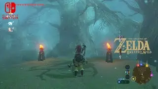 Zelda BOTW: Sejam Nyasar di Lost Woods & TETAP GAGAL! 😭