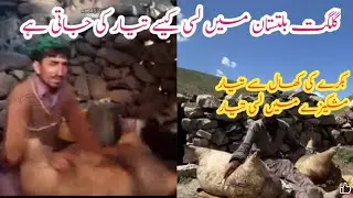 Balti Traditional old lassi making | Lassi making in native way |Mountain people making Lassi #lassi