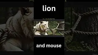 Lion and Mouse: A Timeless Tale of Friendship 🦁🤝🐭
