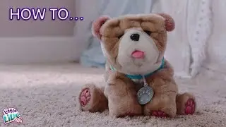 Little Live Pets - Rollie My Kissing Puppy | How to Care & Play!