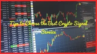 Tips to Choose the Best Crypto Signal Service