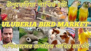 Uluberia Bird market  bird  price update 31th January সবচেয়ে কম দামের জনপ্রিয় বিদেশি পাখির মার্কেট