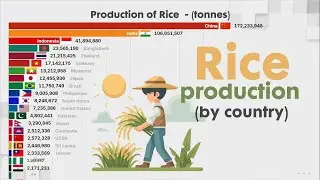 Top 20 countries by RICE PRODUCTION (1961 - 2024)