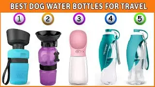 Dog Water Bottle: Best Dog Water Bottles (Reviews)
