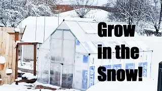 Winter Greenhouse Growing From Seed- January in Zone 6