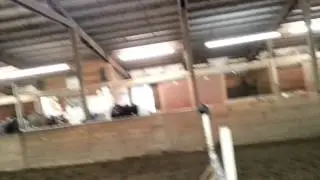Maddie & Ace Lesson