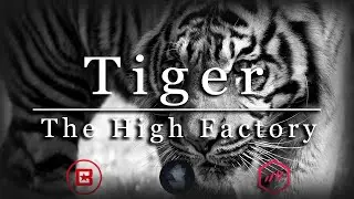 [Free] Hard Aggressive 808 Rap Type Beat 2021 | 