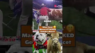 Texas' Mascot ATTACKED Georgia's Mascot 🤣