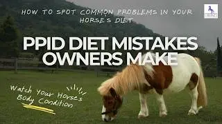 PPID Diet Mistakes Owners Make
