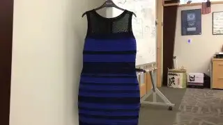 The Blue / Black / White / Gold Dress