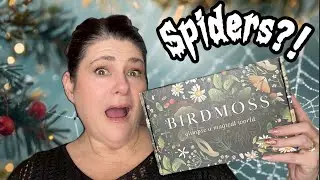 Opening the December Birdmoss Subscription Box: 3 Little Spiders 🕷️🕷️🕷️