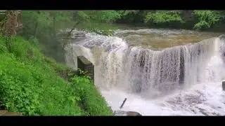 Viaduct Park Great Falls of Tinkers Creek Mon. June 12th 2023