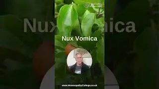 Nux Vomica - Homeopathy College Stage 2 Sample Lesson