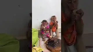 Monkey feels calm and safe in human built shelter ���� #MonkeyPeace #KindnessMatters