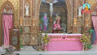 🔴 Live 14 December 2025 @ Vailankanni Shrine Basilica