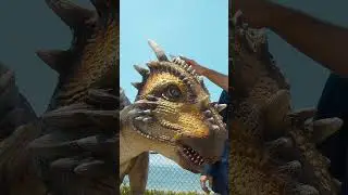 Dracorex is a dinosaur that looks like a dragon! #dinohunt #dinoeggs #dinosaur #dragon