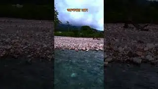 #BHUTIABOSTI | #DOOARS | #offbeatnorthbengal | #jayanti  #dooars #travel #jaldapara