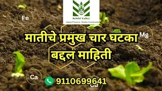 मातीचे प्रमुख चार घटका बद्दल माहिती|Krishi Valley Ventures|Organic Farming