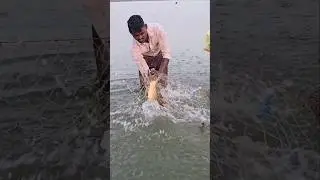 Big Monster fish and fishing with River Net amazing fishing videos #Reelsfishing #fishhunting2