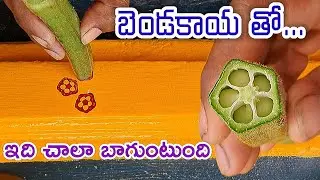 gadapa design simple and easy gadapa muggulu.