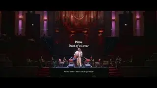 Pitou – Debt of a Lover (Live at Het Concertgebouw)