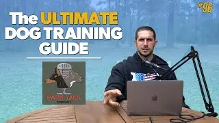 How to Train Your Dog | The Ultimate Dog Training Guide - PTP #96