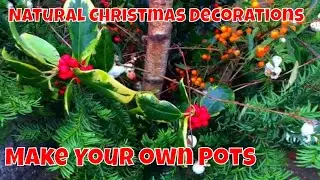 Festive Christmas Pots with Real Plant Cuttings