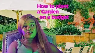 How To Plant A Garden On A Budget