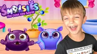 НОВЫЕ ПИТОМЦЫ! Геймплей Smolsies с Имой