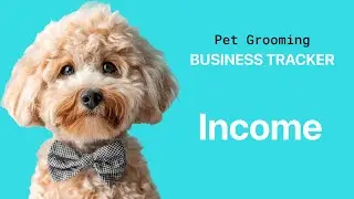 Track Every Payment &mdash; Add Income Tab in the Pet Grooming Google Sheets Template
