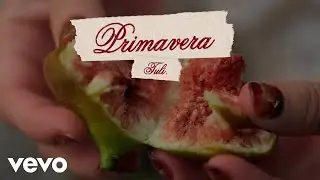 TULI - Primavera (Official Video)