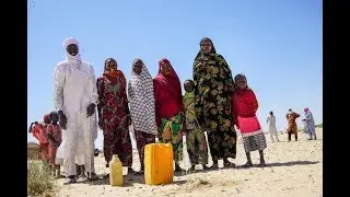 Lake Chad Basin crisis: Chad