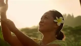Aloha and Welcome Aboard!