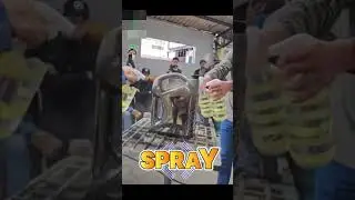 Liquid spray paint | Hydro chrome paint