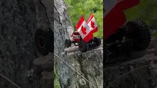 Canadian flagship RC car stuck on log #rccars #rccarshow #rctruck #rcoffroad #rcadventure