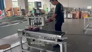 card feeder machine Automatic card feeder with counting friction on demand banding machine