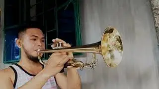 We Are The World - U.S.A For America (Trumpet) Cover 🎺