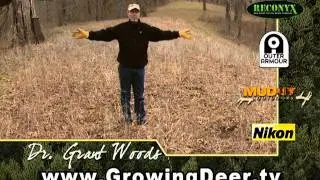Get The Best Food Plot: Where's The Sun?