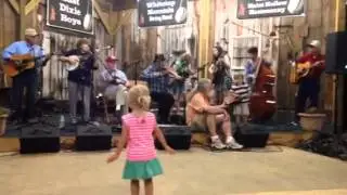 Whitetop Mountain Band & Slate Mountain Ramblers