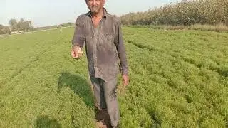 કિરણ ભાઇનું જીરૂ 😱