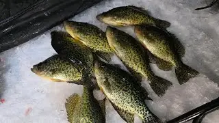 Quick crappies outing after work