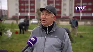 13.10.25. В СКО высадили 10 тысяч деревьев