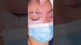 Private volume lashes extension individual eyelash silk eyelash extensions