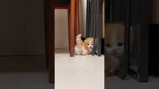 OMG so cute ❤
