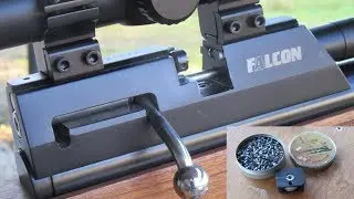 Falcon Prairie B Lighthunter with the Falcon Accuracy Plus pellet 29 11 17